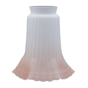 Pink Tipped Shade