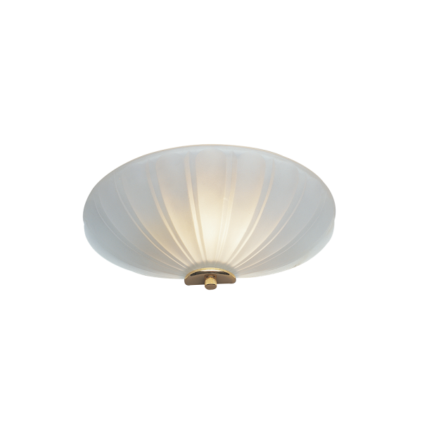 Wall Sconce with Acid Frost Glass Shade