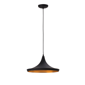 Contemporary Wide Ceiling Suspension