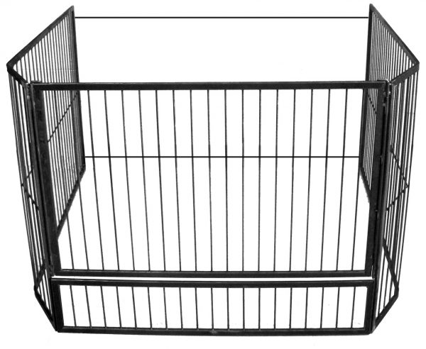 Child Guard with Gate